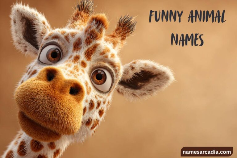 funny animal names