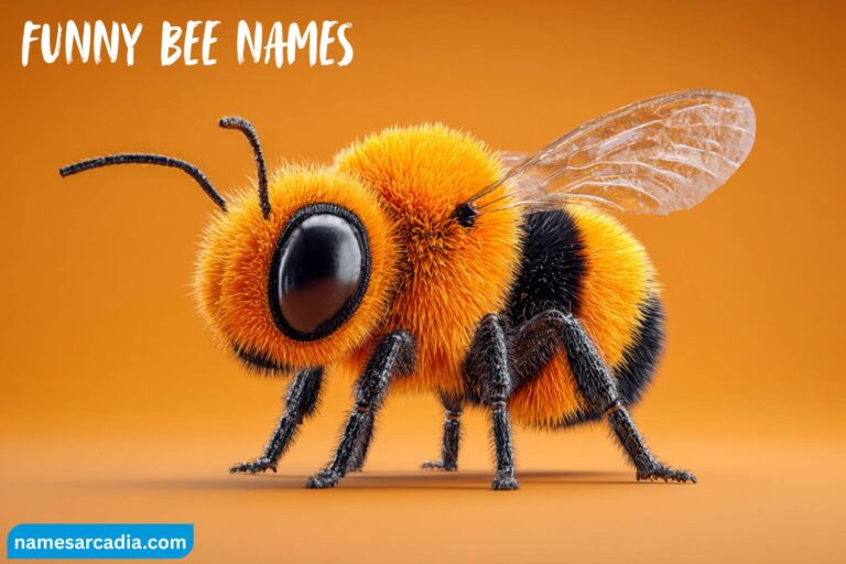 funny bee names