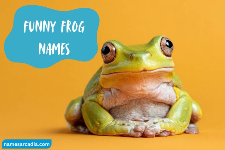 funny frog names