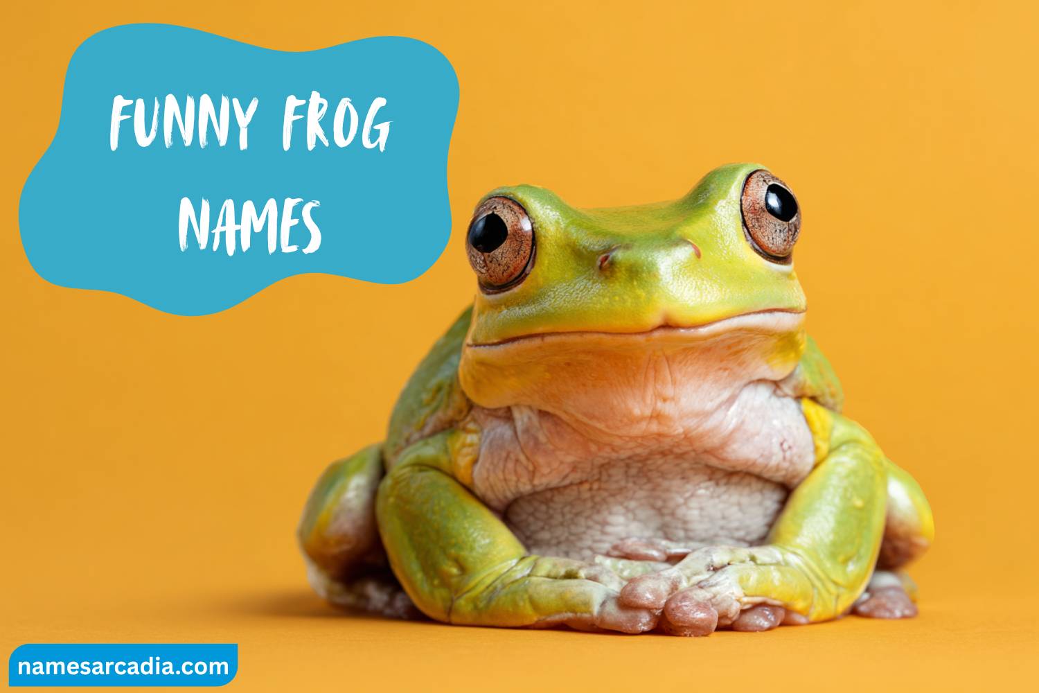 funny frog names