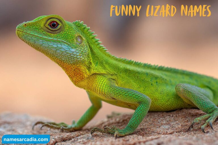 funny lizard names