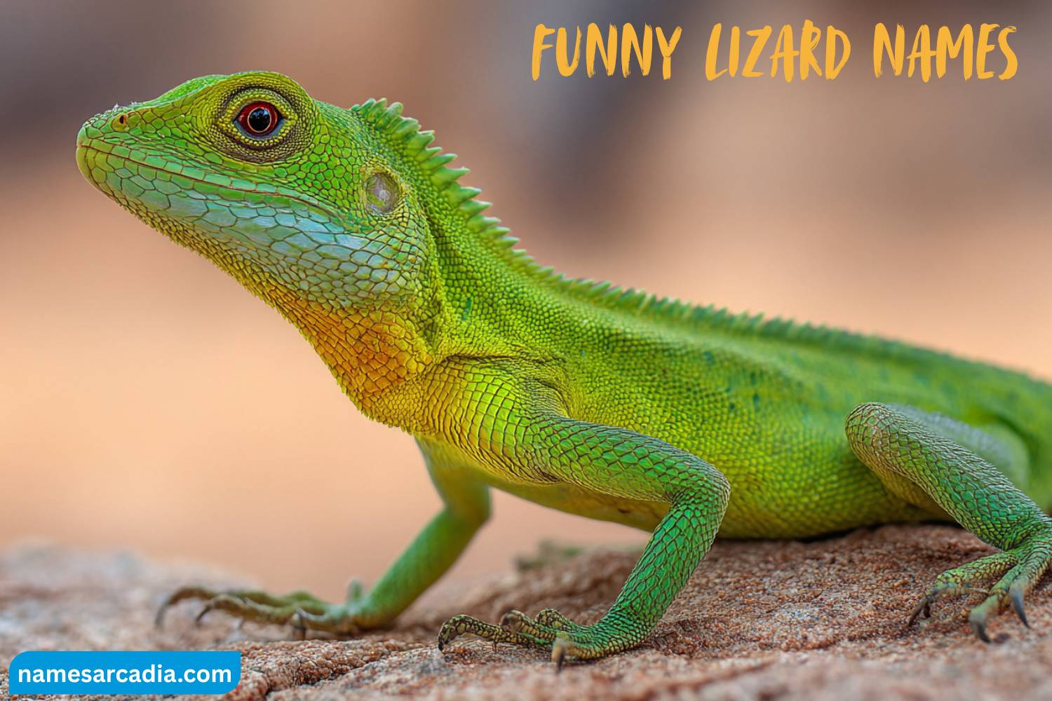 funny lizard names