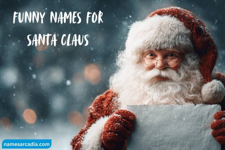 funny names for santa claus