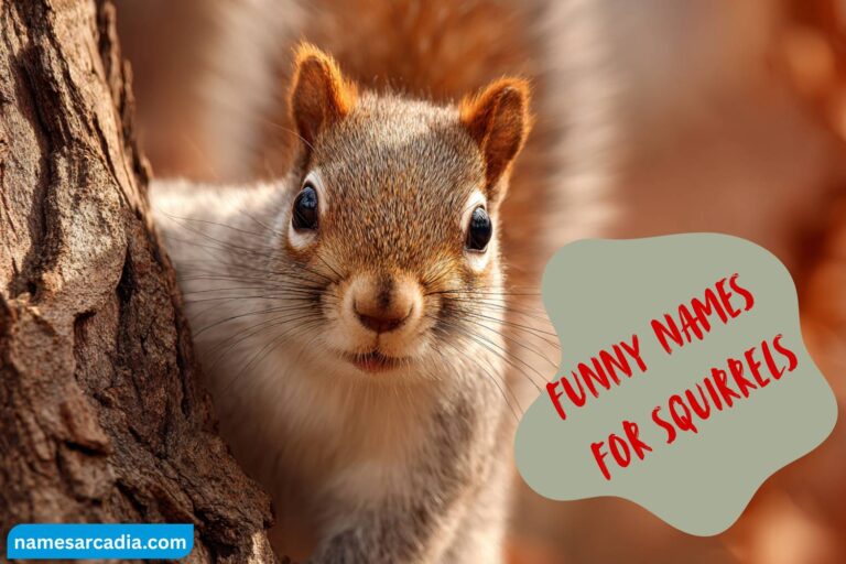 funny names for squirrels