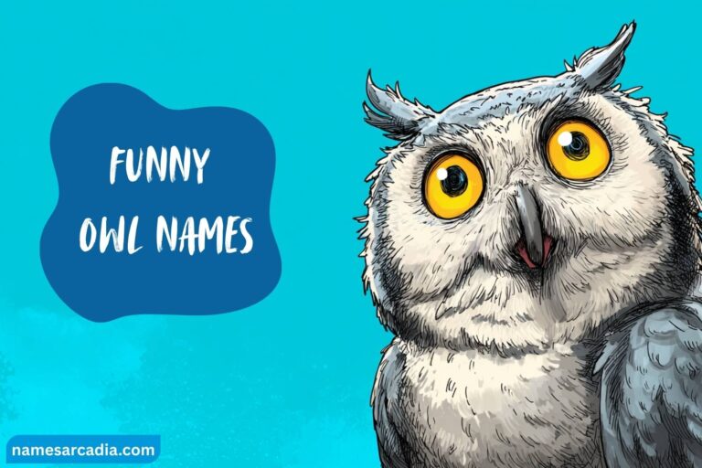 funny owl names