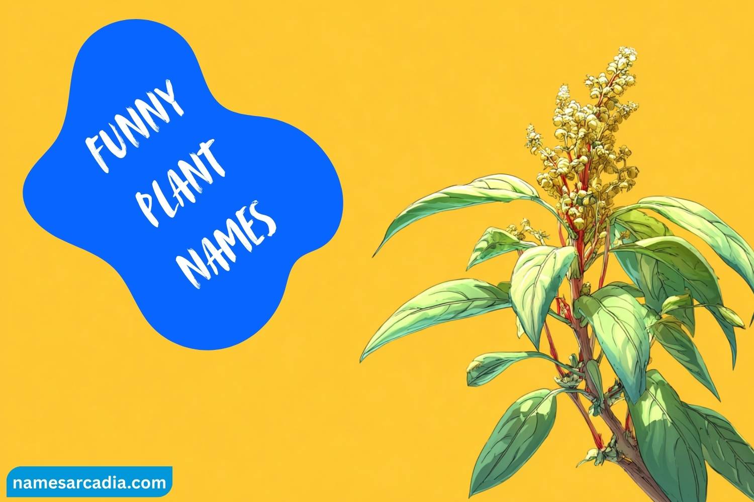 funny plant names