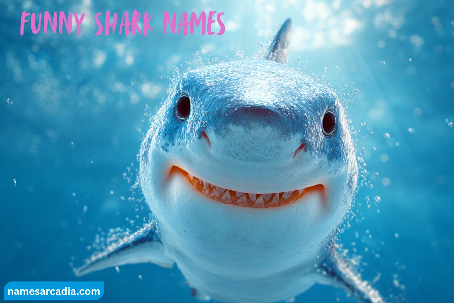 funny shark names