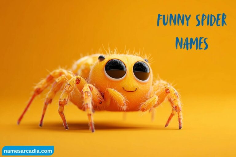 funny spider names
