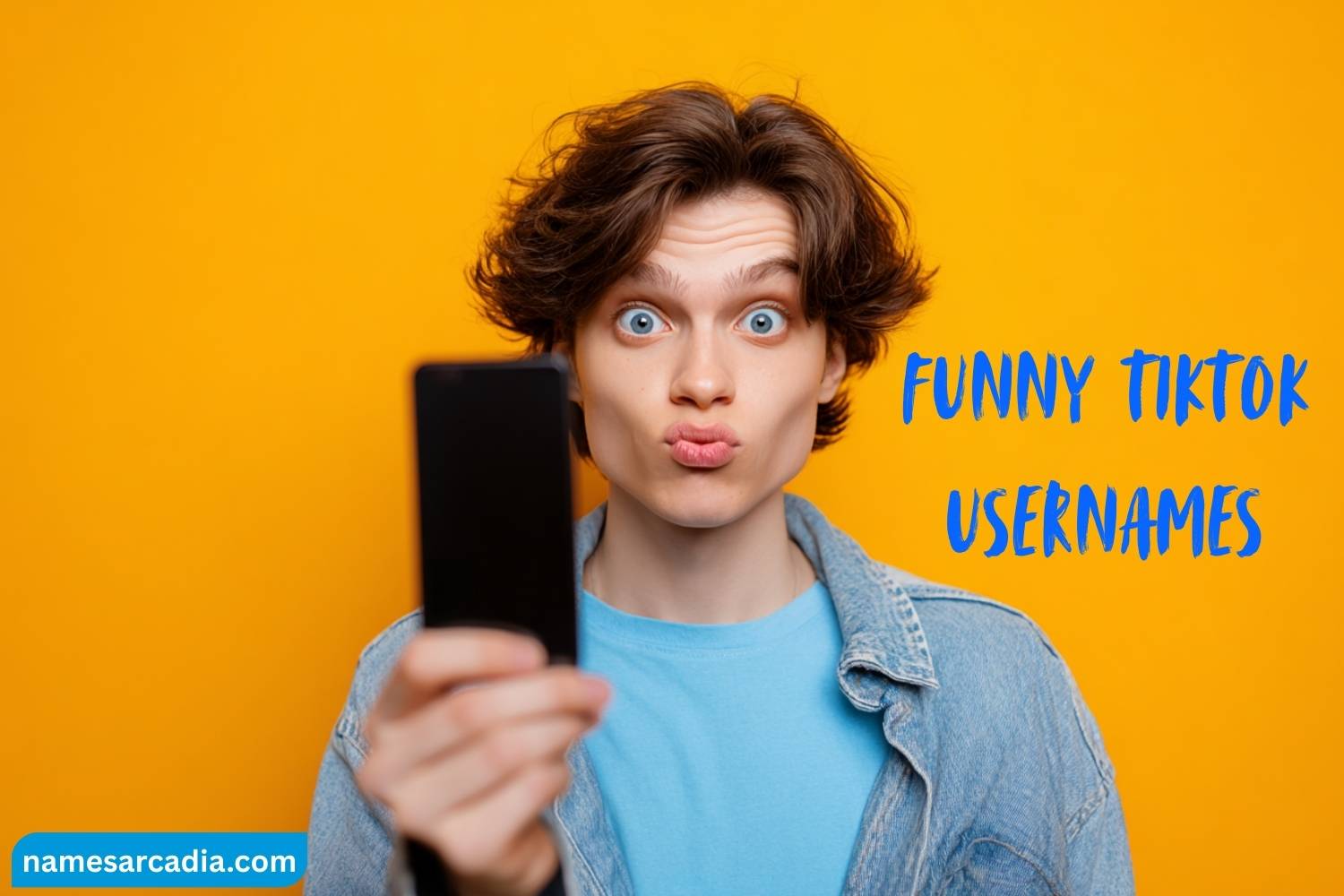 funny tiktok usernames