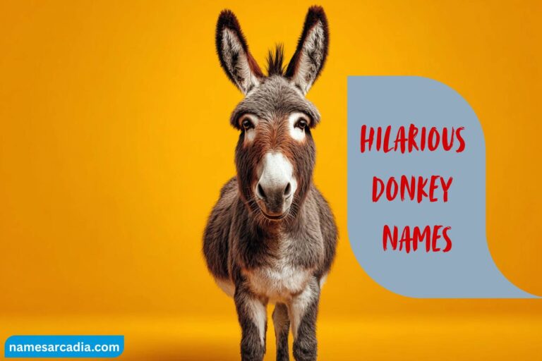 hilarious donkey names