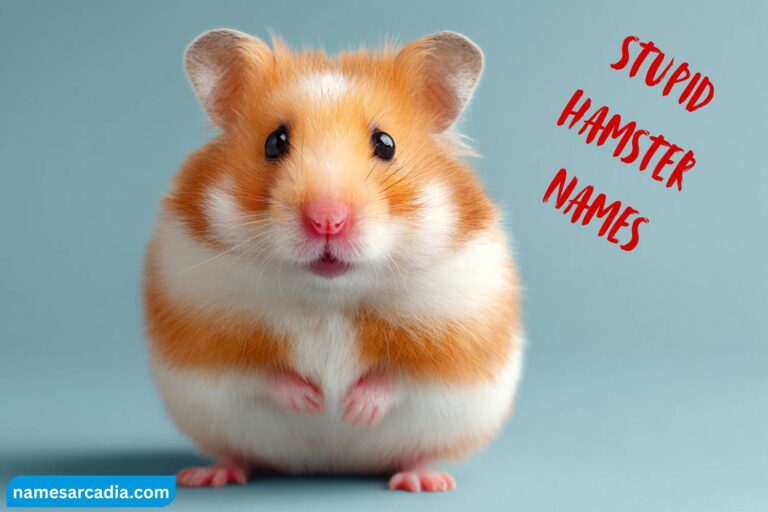stupid hamster names