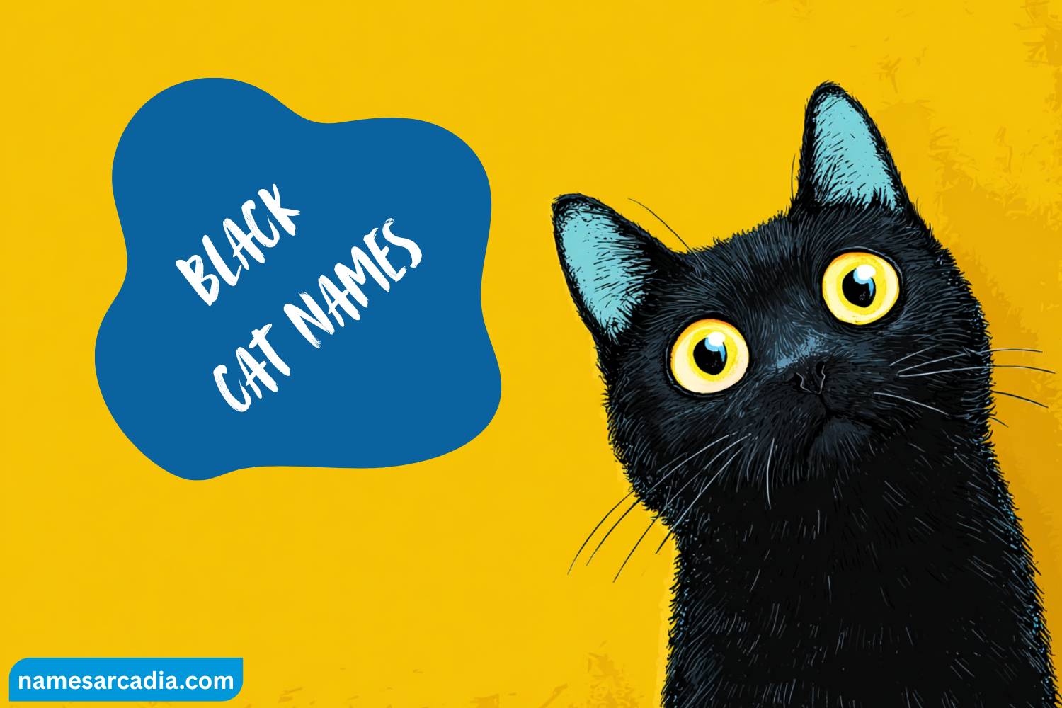 black cat names