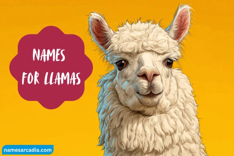 names for llamas