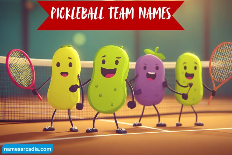 pickleball team names